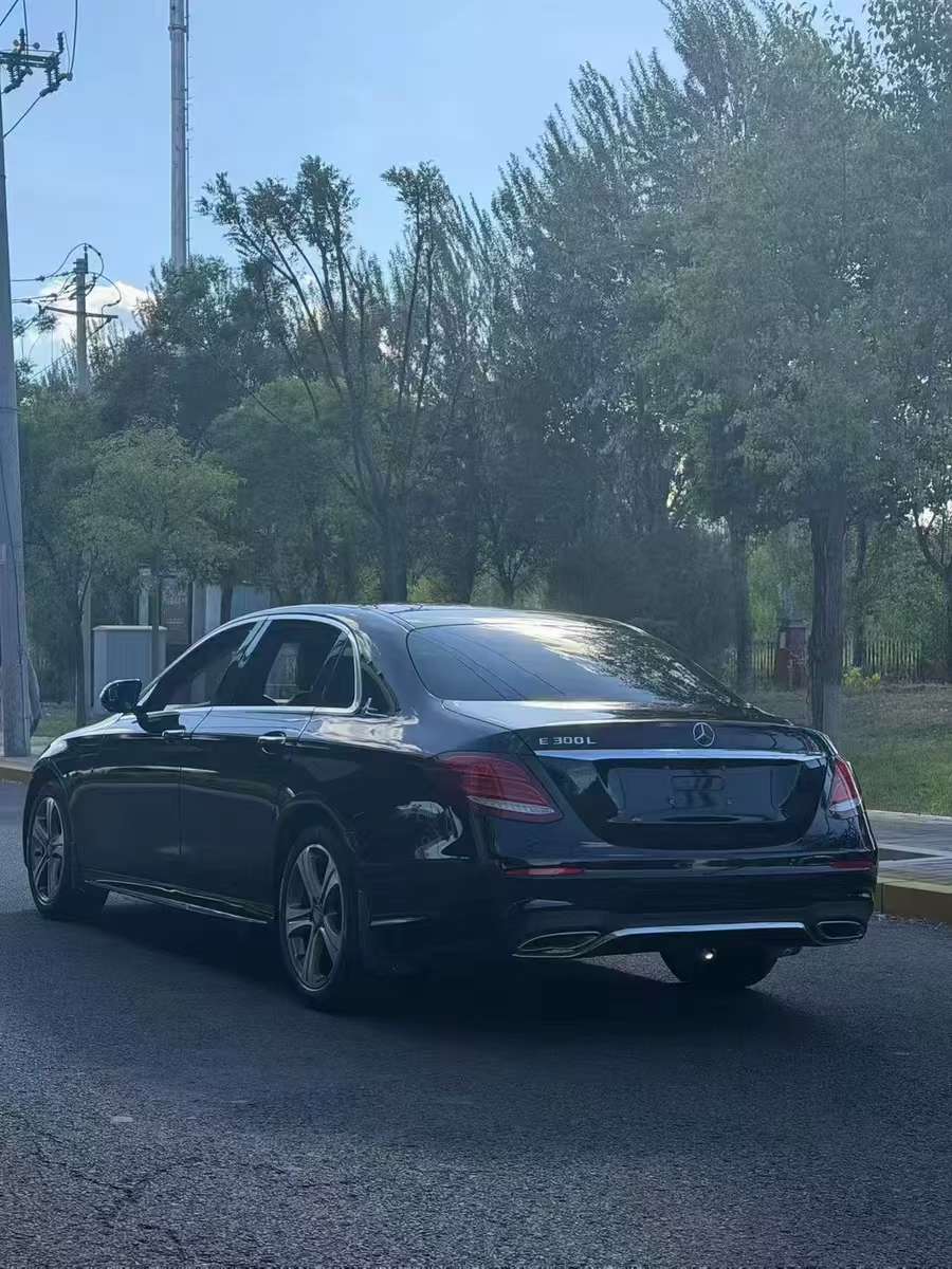 Mercedes-Benz E-Class 2016 E200L Long 5