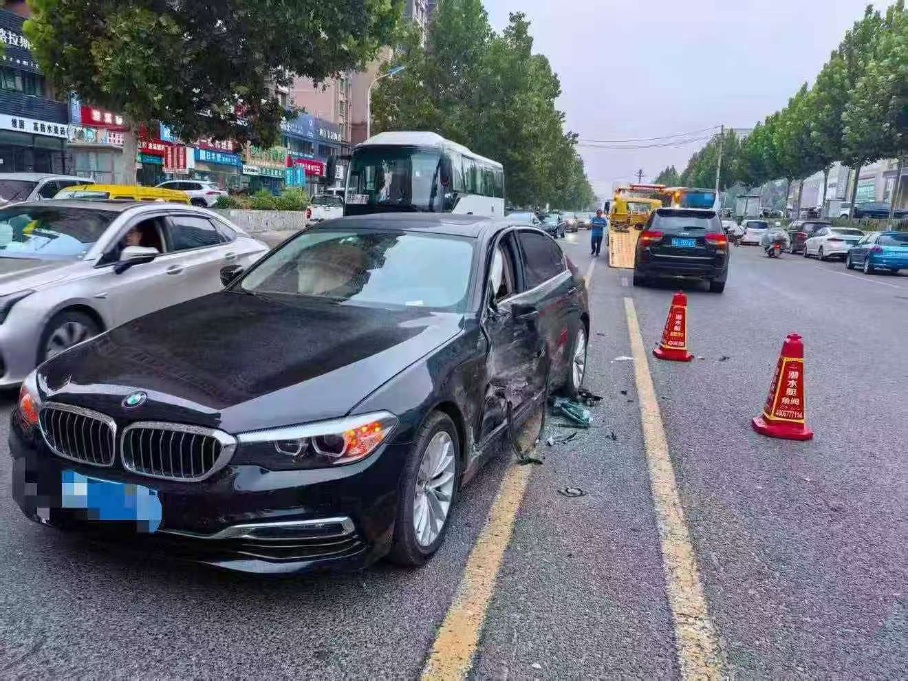 BMW 5 Series 530Li