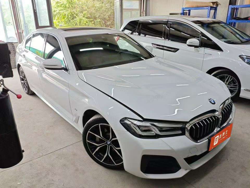 BMW 5 Series 530 Luxury M Sport Package 4