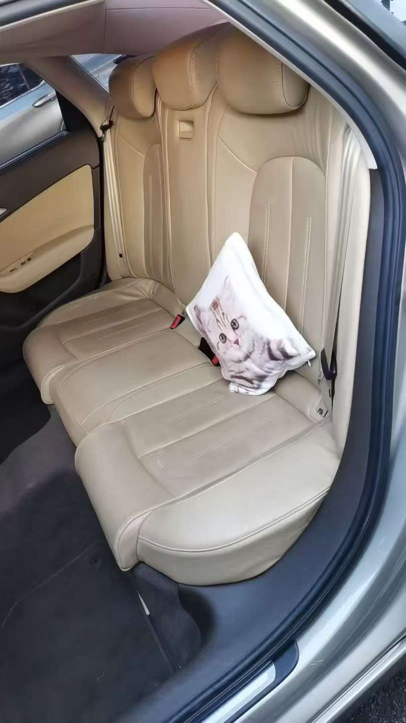 Audi A6L 8