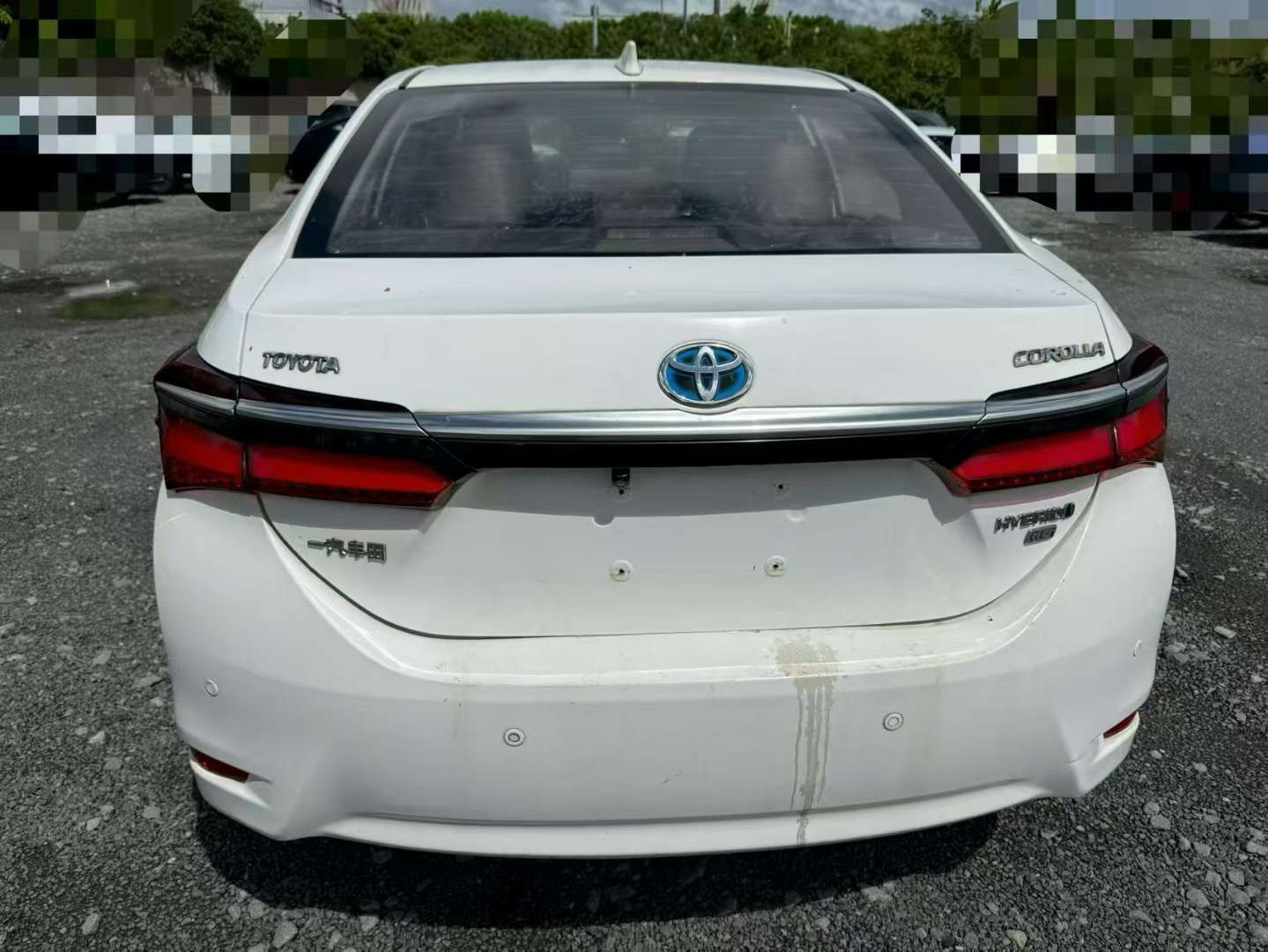 Toyota Corolla 6