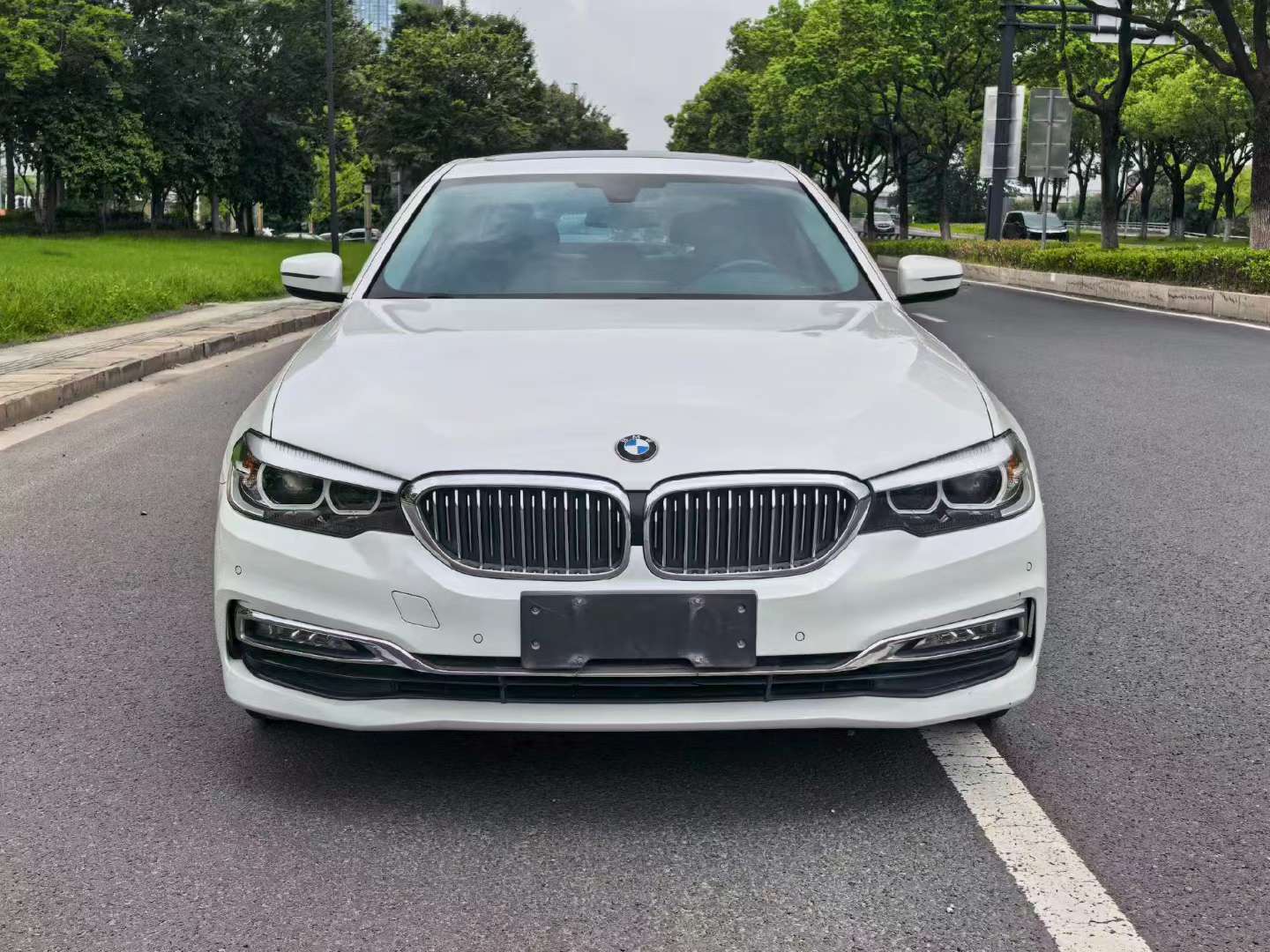 BMW 5 Series 2018 525Li 2.0T Luxury Package 2