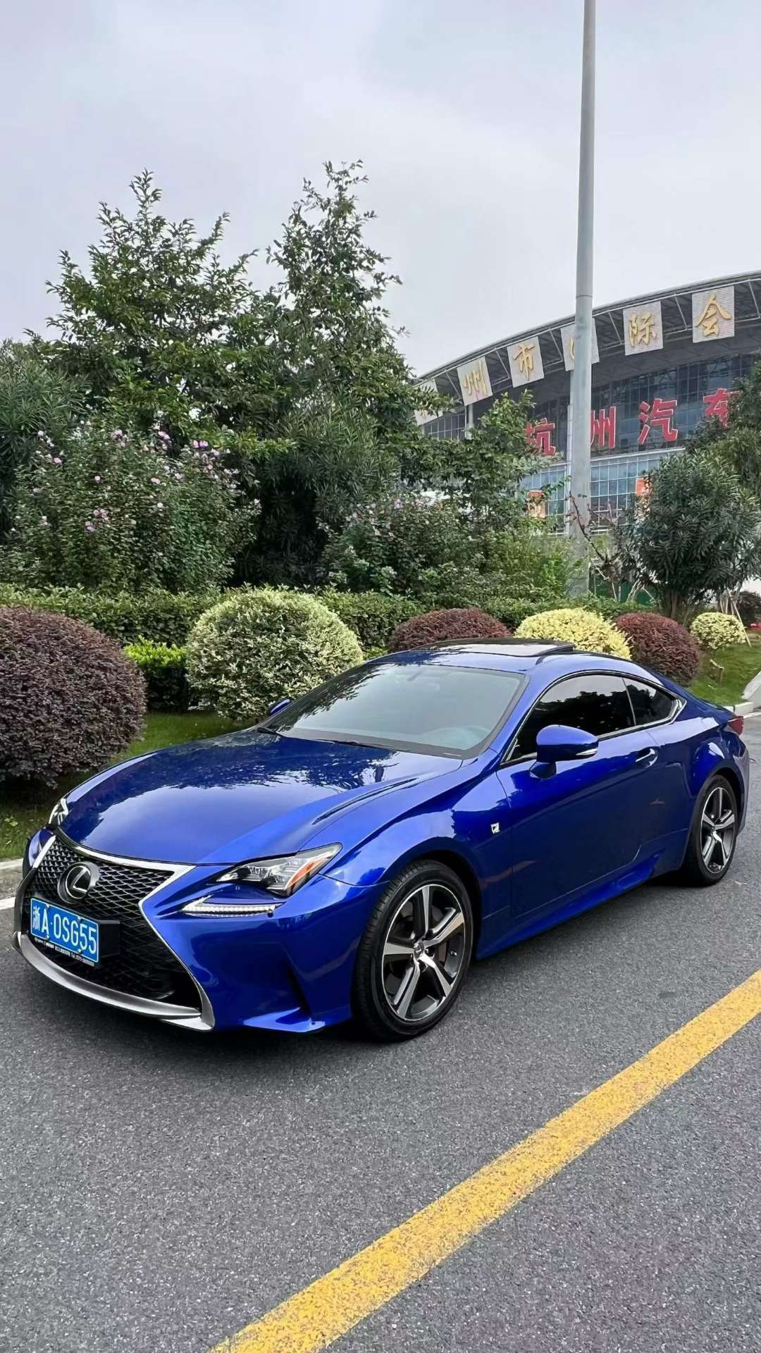 Lexus RC RC300