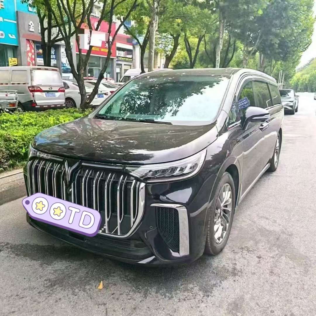 Voyah Dreamer 2024 PHEV Super Long Range Flagship