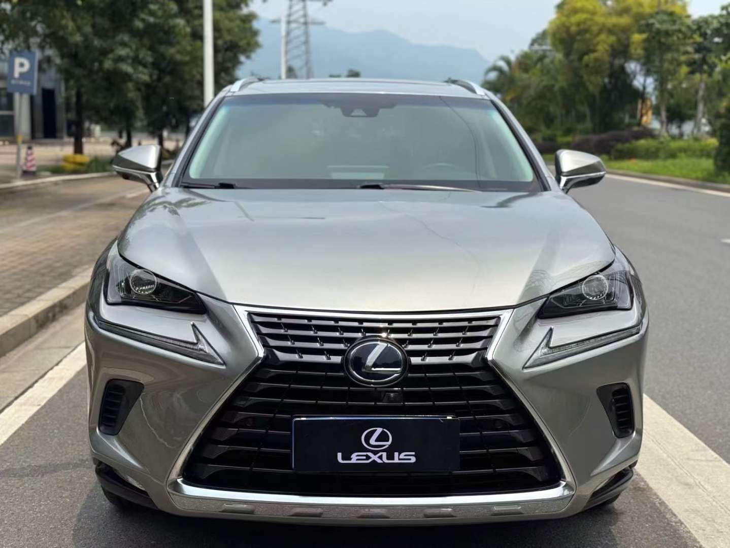 Lexus NX 2020 NX300h 2.5 CVT Premium 2