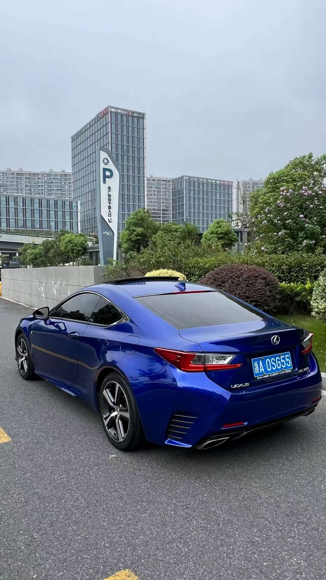 Lexus RC RC300 4