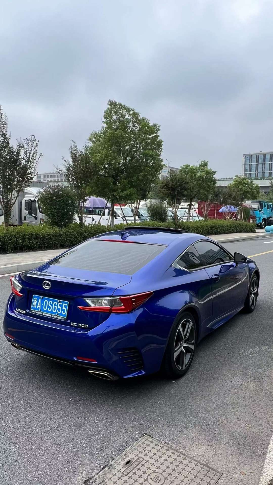 Lexus RC RC300 6