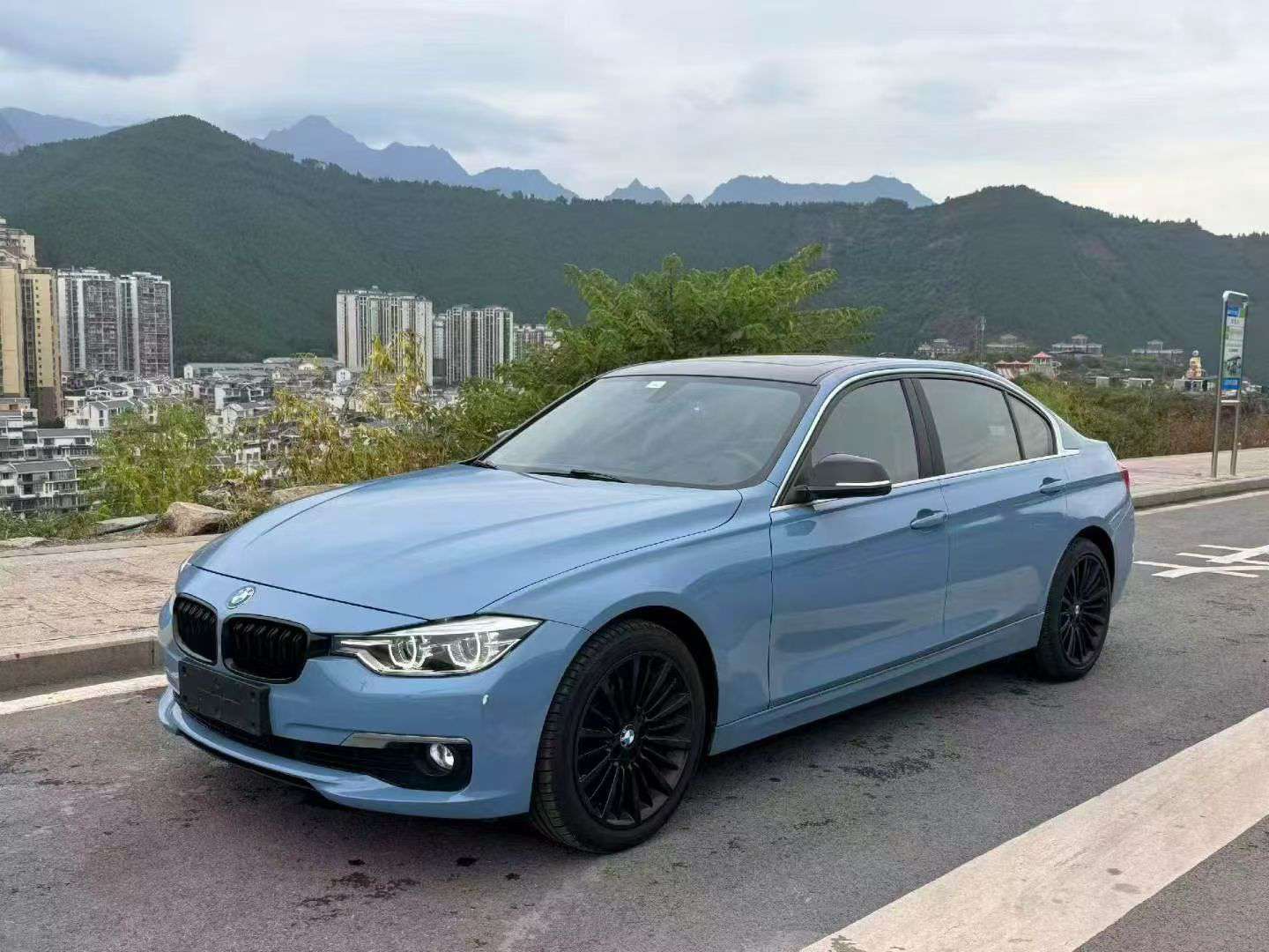 BMW 3 Series 2018 320Li 3