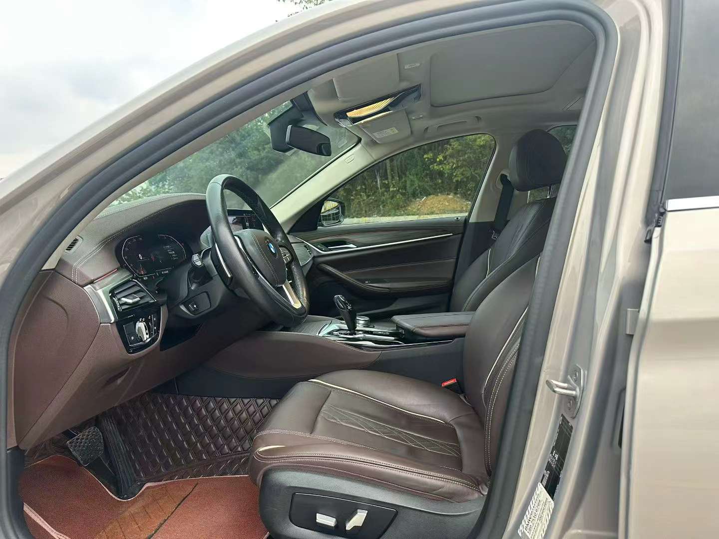 BMW 5 Series 530Li Luxury Edition 4