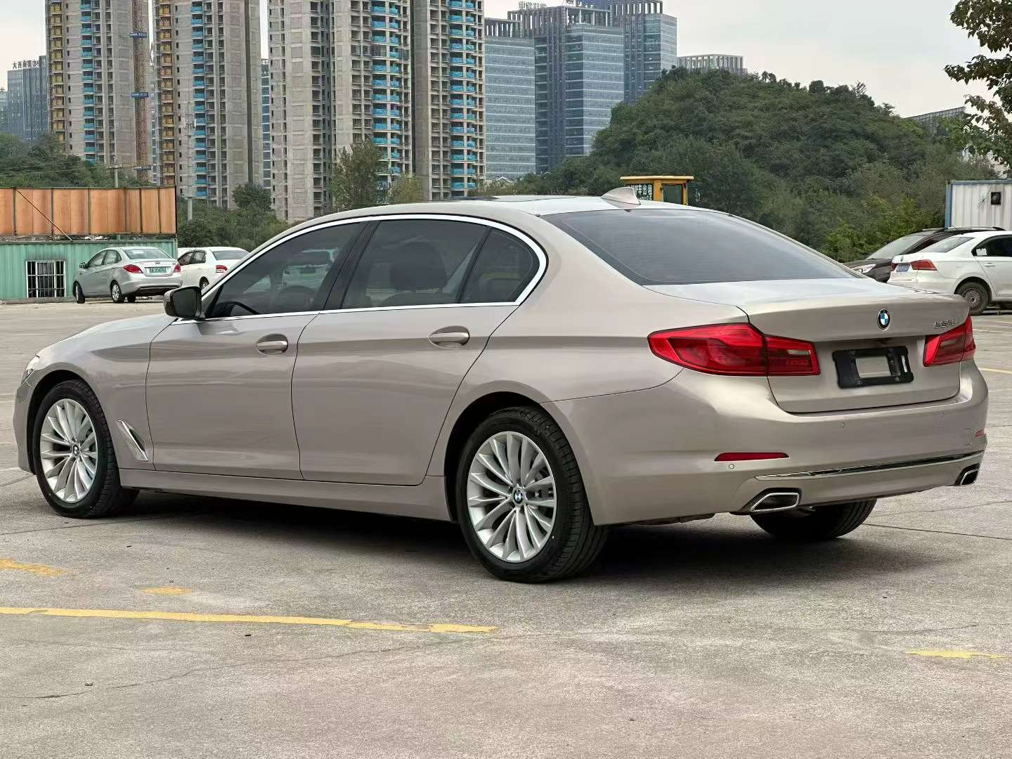BMW 5 Series 530Li Luxury Edition 9