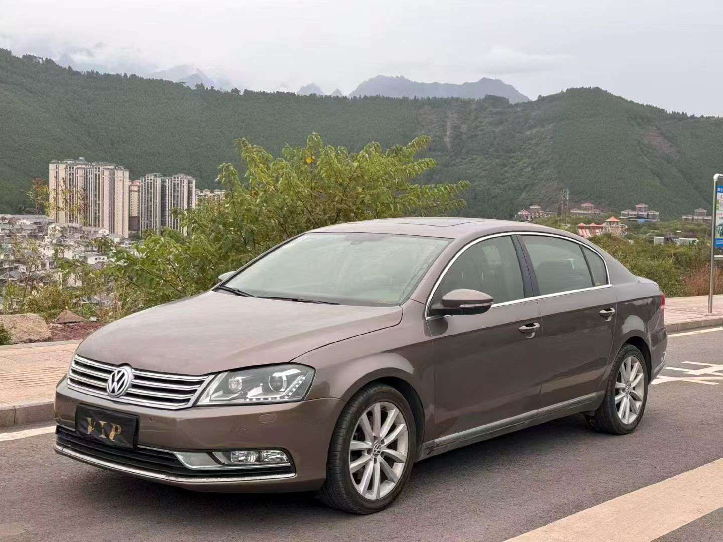 Volkswagen Magotan 1.8T Top Trim 3