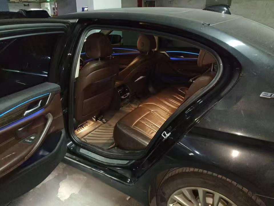 BMW 5 Series 530Le 2.0T Luxury Package 5