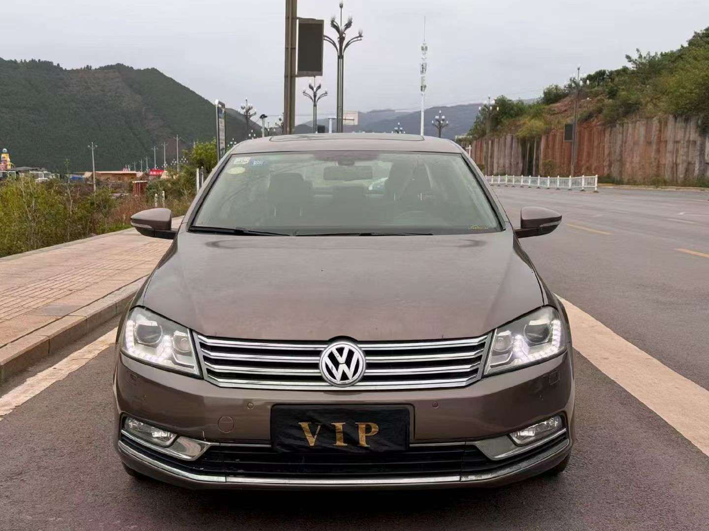 Volkswagen Magotan 1.8T Top Trim 2