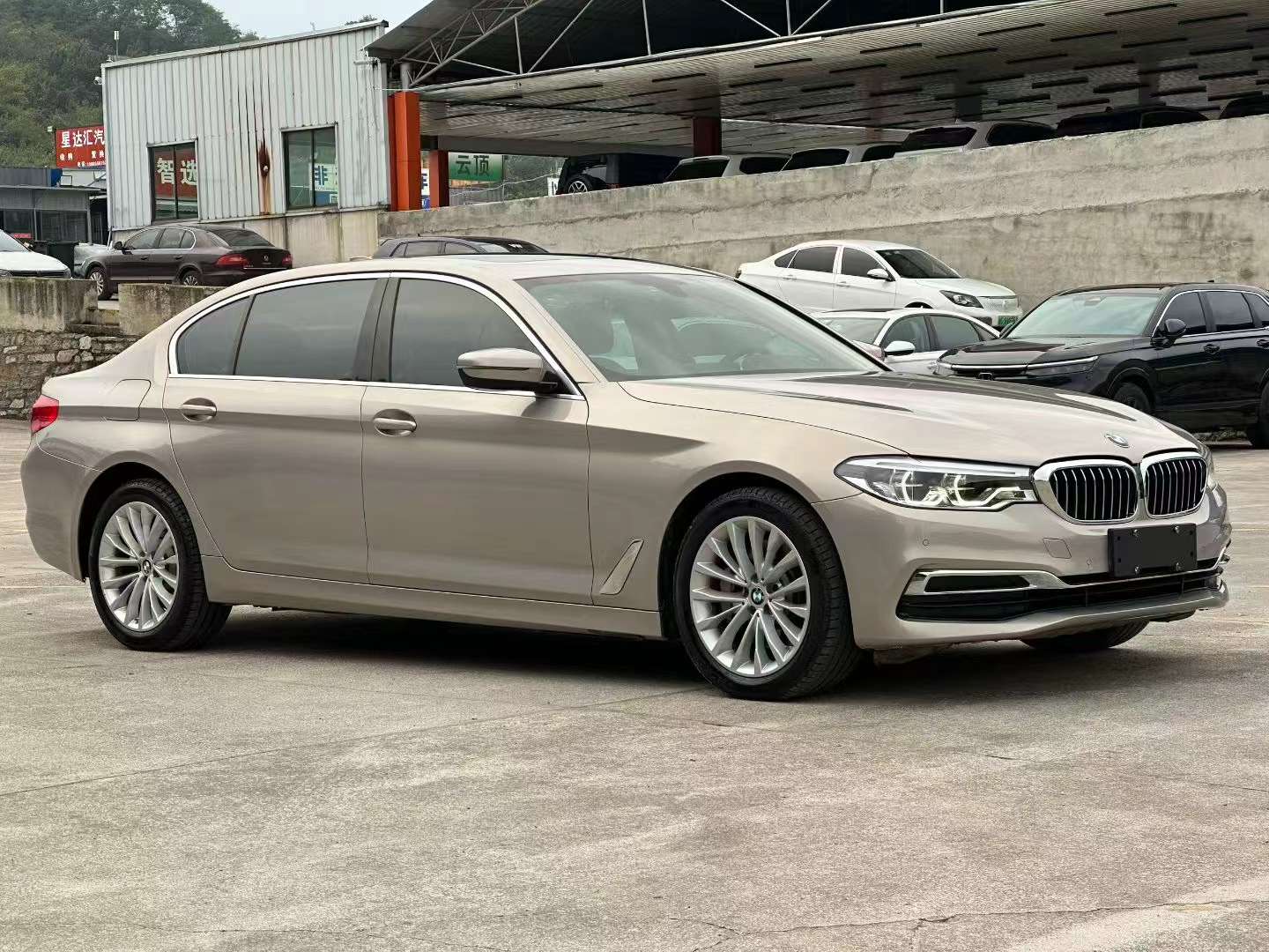 BMW 5 Series 530Li Luxury Edition 3