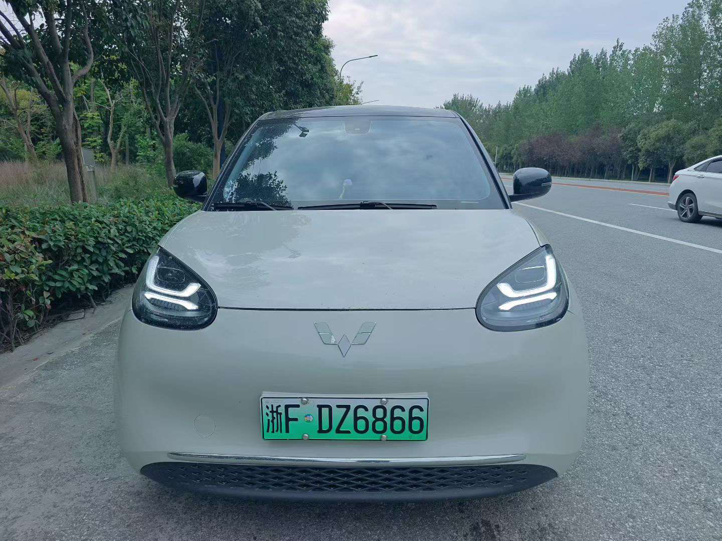 Wuling Bingo 333km Range