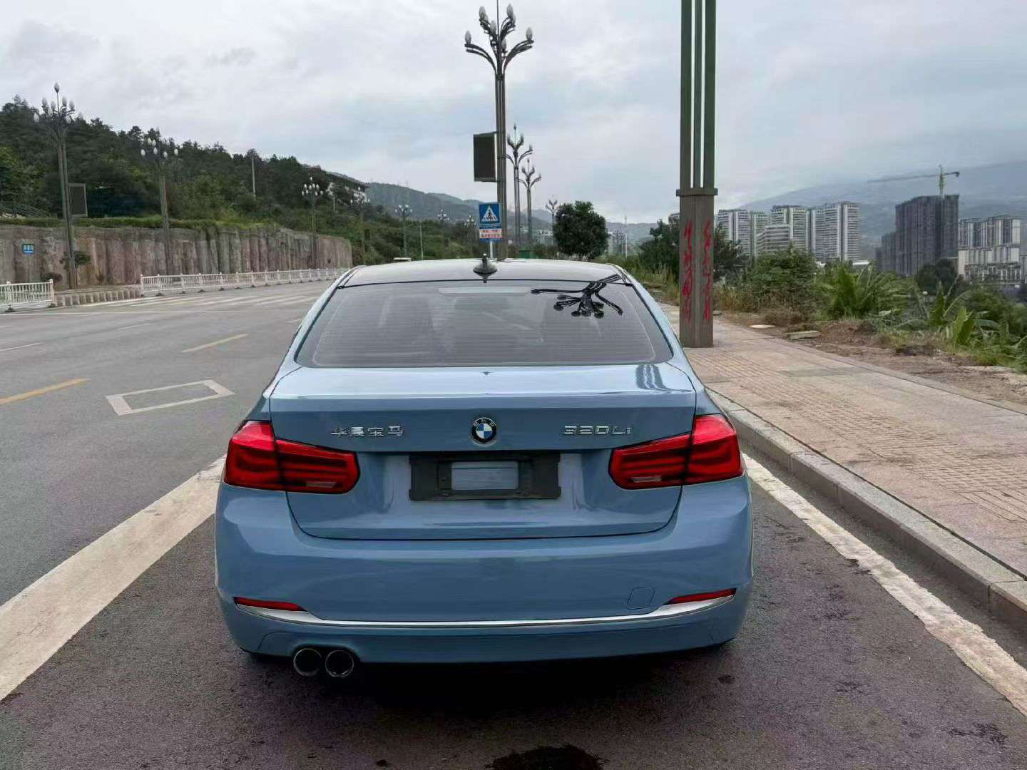BMW 3 Series 2018 320Li 8
