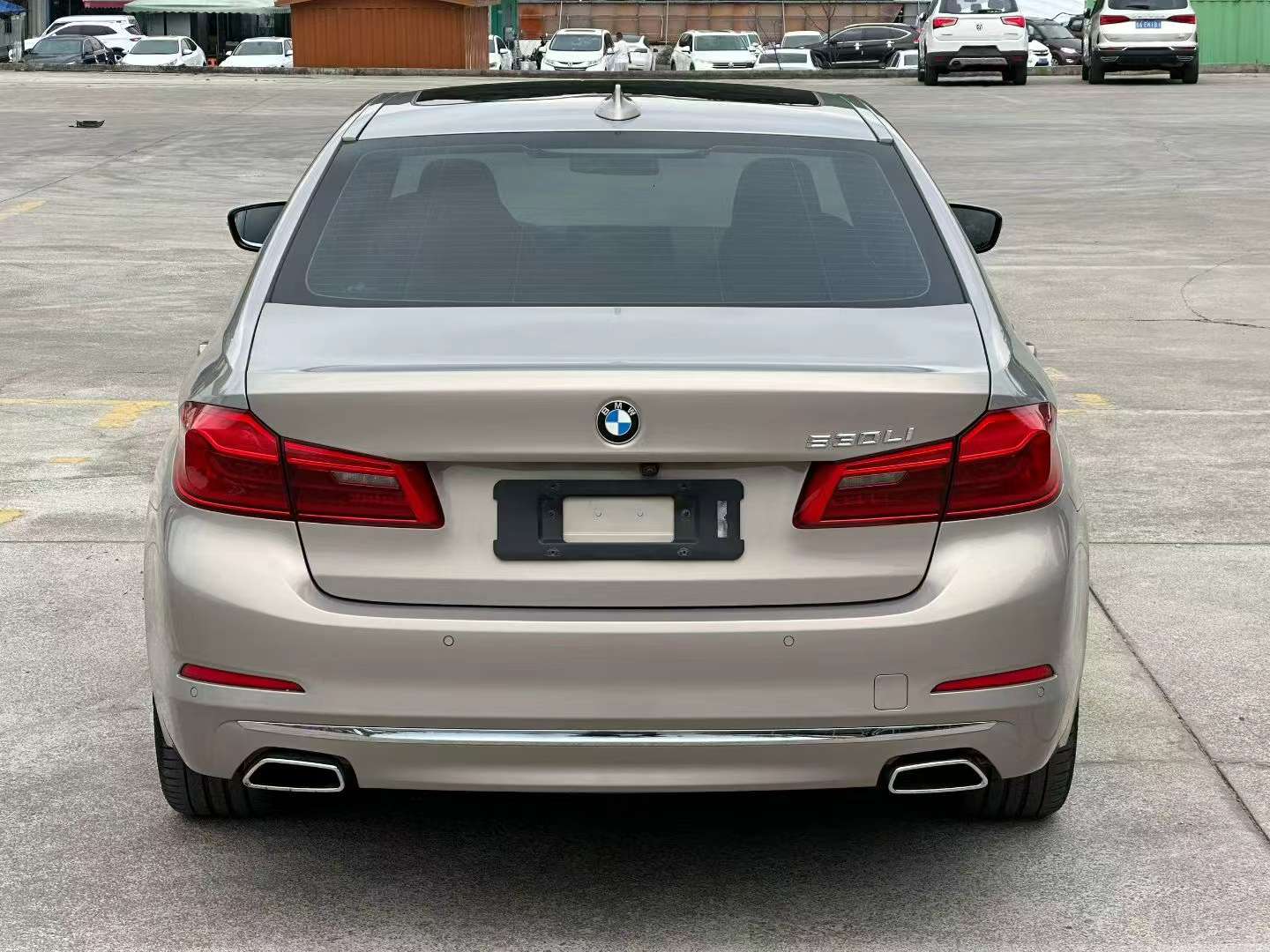 BMW 5 Series 530Li Luxury Edition 8