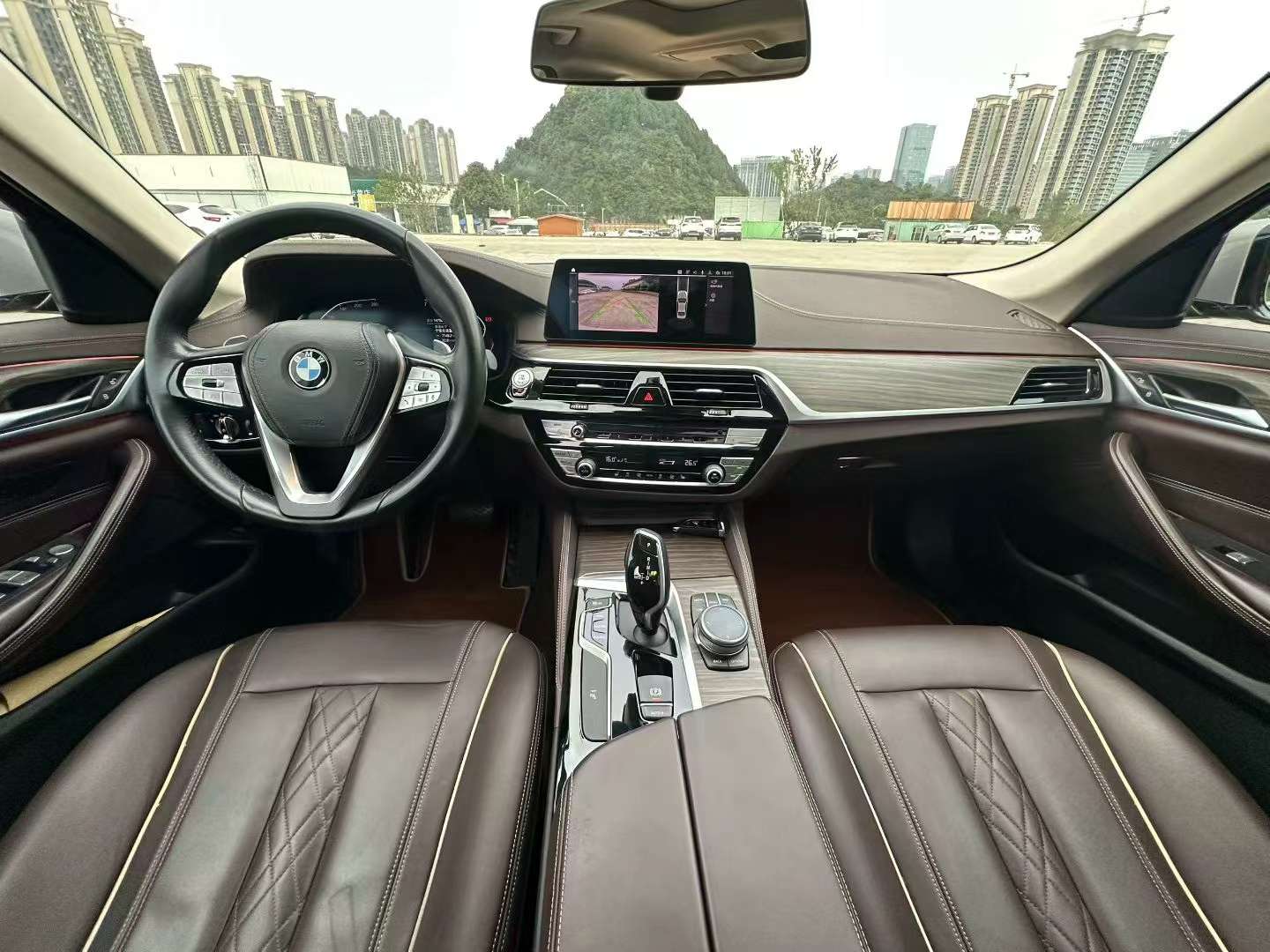 BMW 5 Series 530Li Luxury Edition 5