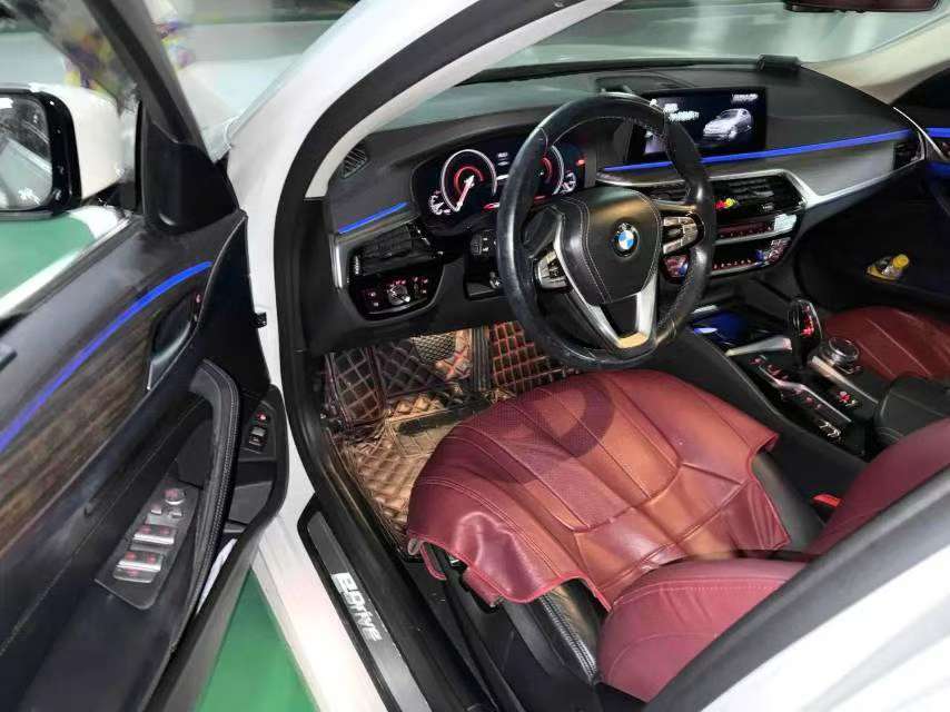 BMW 5 Series 530Le Luxury Package 7