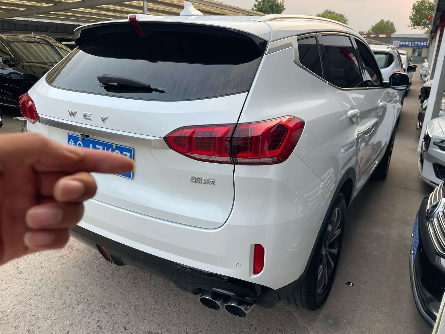 WEY VV6 2.0T Smart Guard Edition 6
