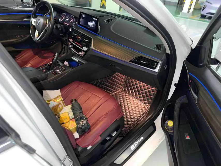 BMW 5 Series 530Le Luxury Package 6