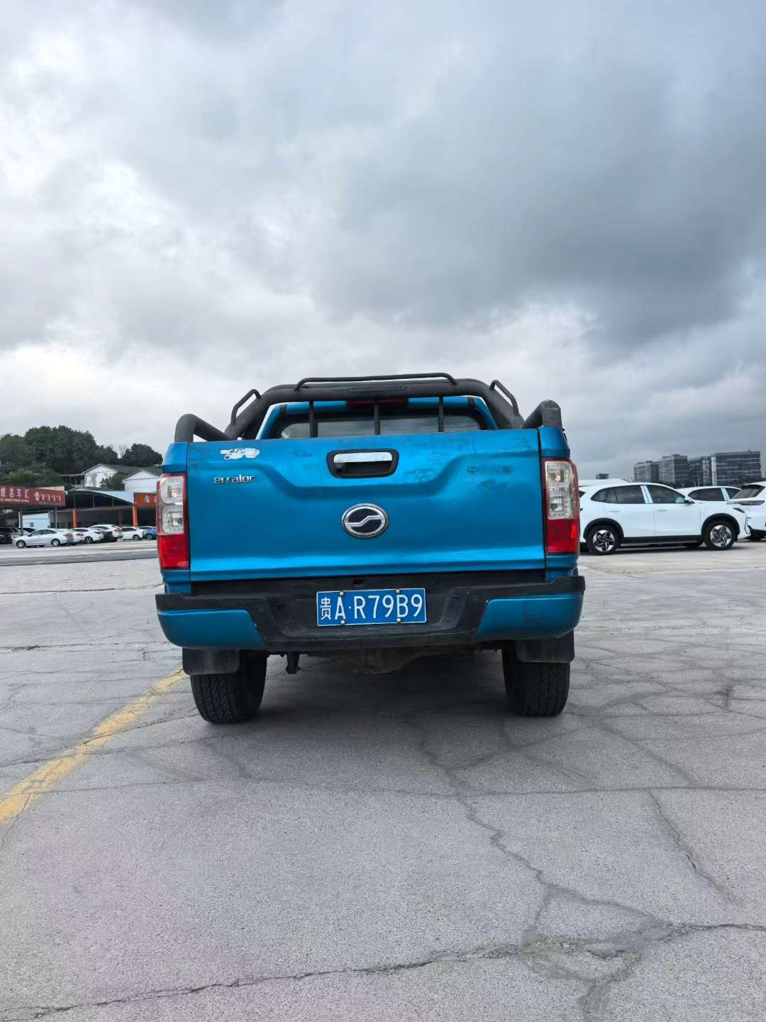 Zhongxing Dalingzhu 2017 2.5T Diesel 4WD 8