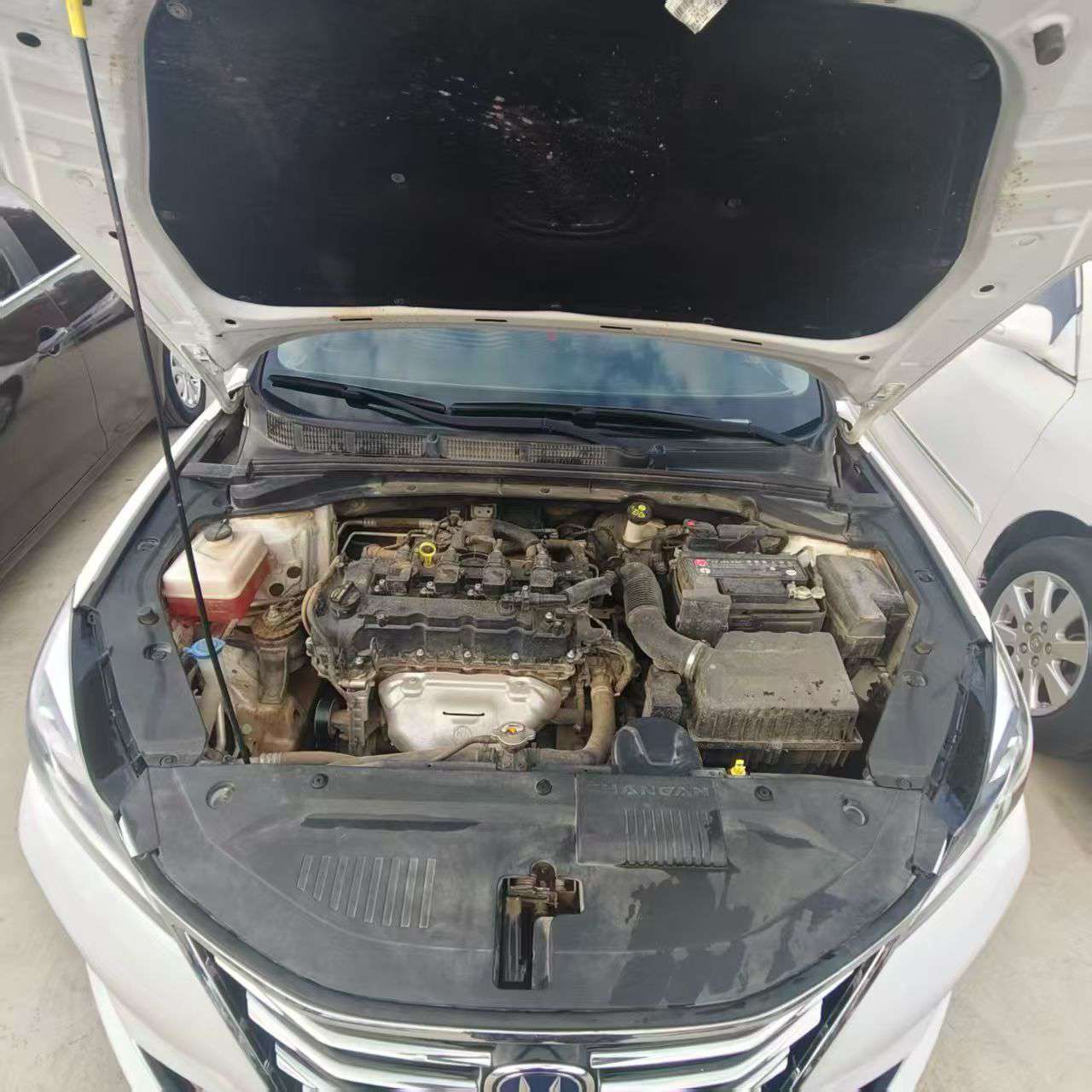 Changan Eado 5