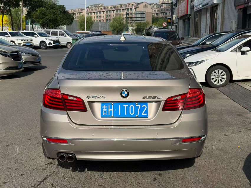 BMW 5 Series 525 Luxury Design Package 4