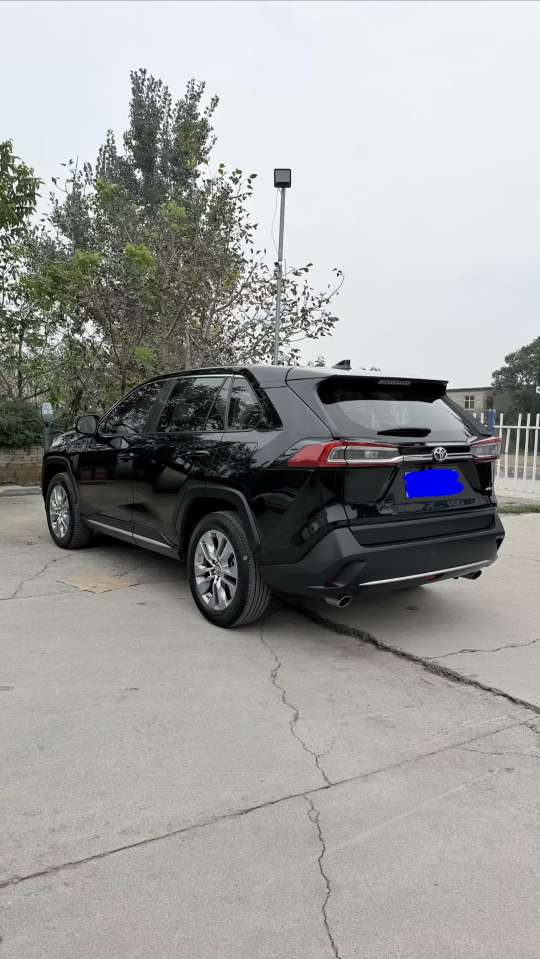 Toyota Wildlander 2020 AWD Luxury 9