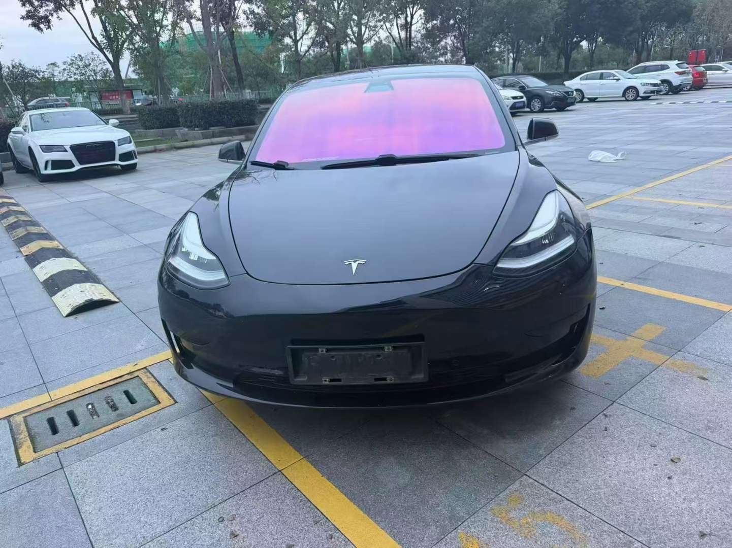 Tesla Model 3 Standard Range