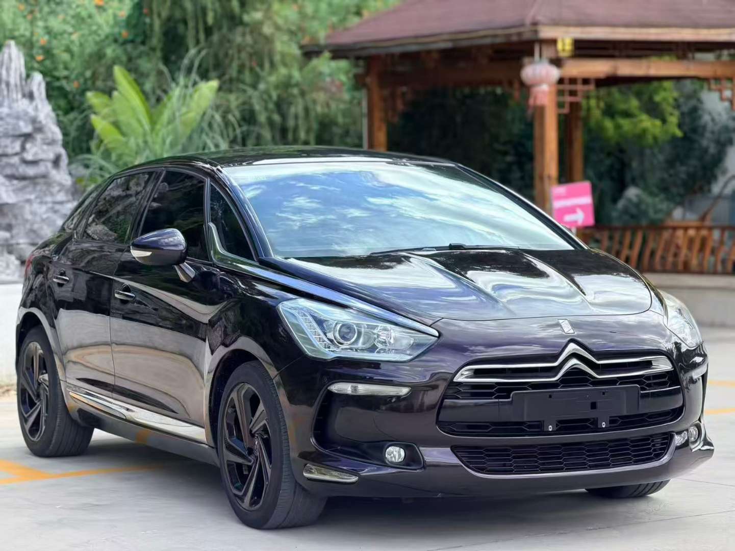 DS DS5