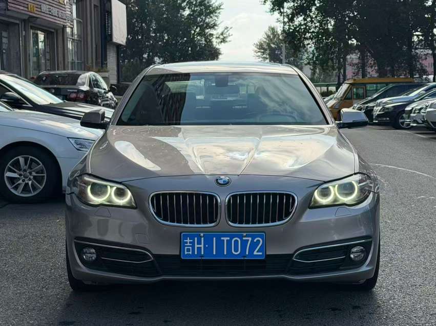 BMW 5 Series 525 Luxury Design Package