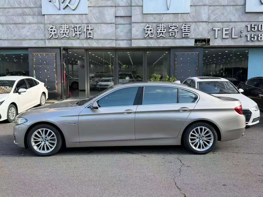 BMW 5 Series 525 Luxury Design Package 3