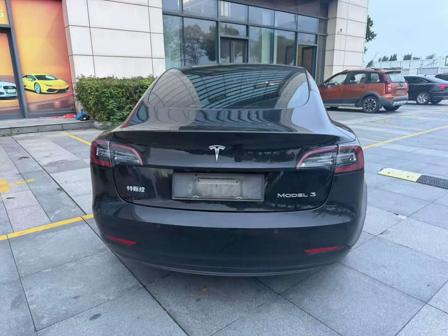 Tesla Model 3 Standard Range 7