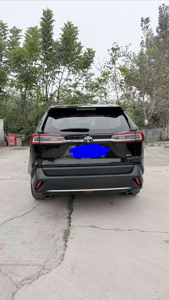 Toyota Wildlander 2020 AWD Luxury 8