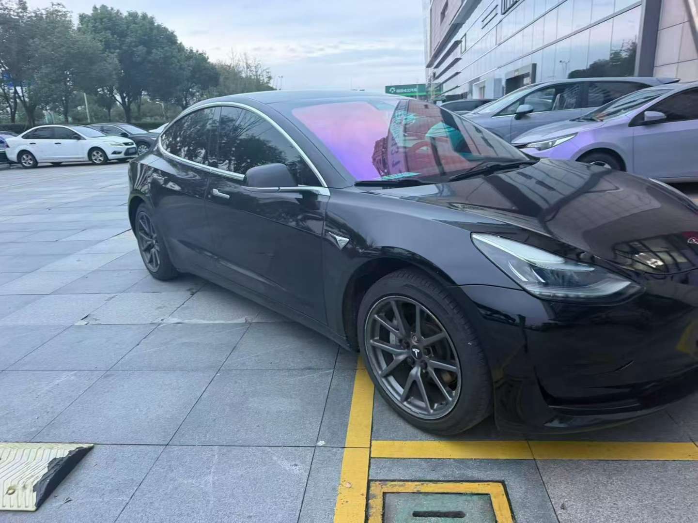 Tesla Model 3 Standard Range 2
