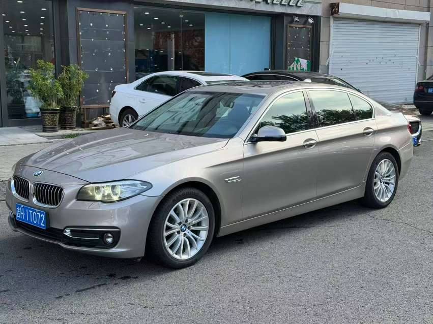 BMW 5 Series 525 Luxury Design Package 2