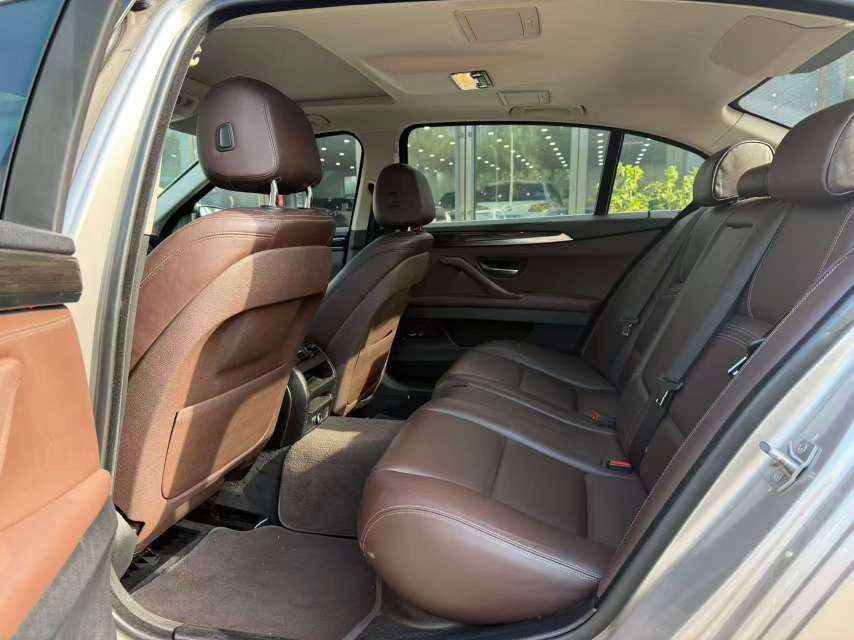 BMW 5 Series 525 Luxury Design Package 7