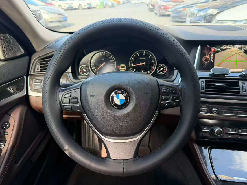 BMW 5 Series 525 Luxury Design Package 9