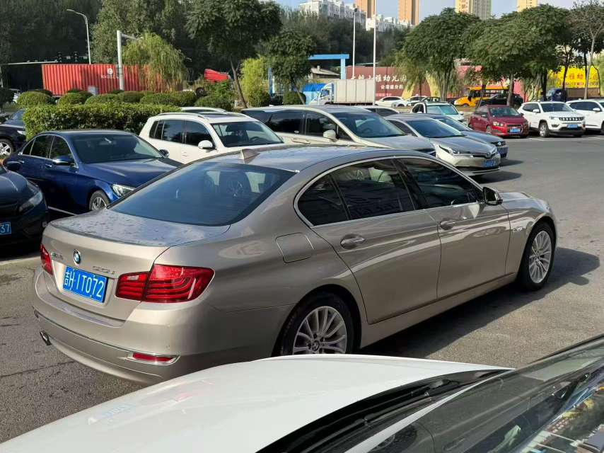 BMW 5 Series 525 Luxury Design Package 5