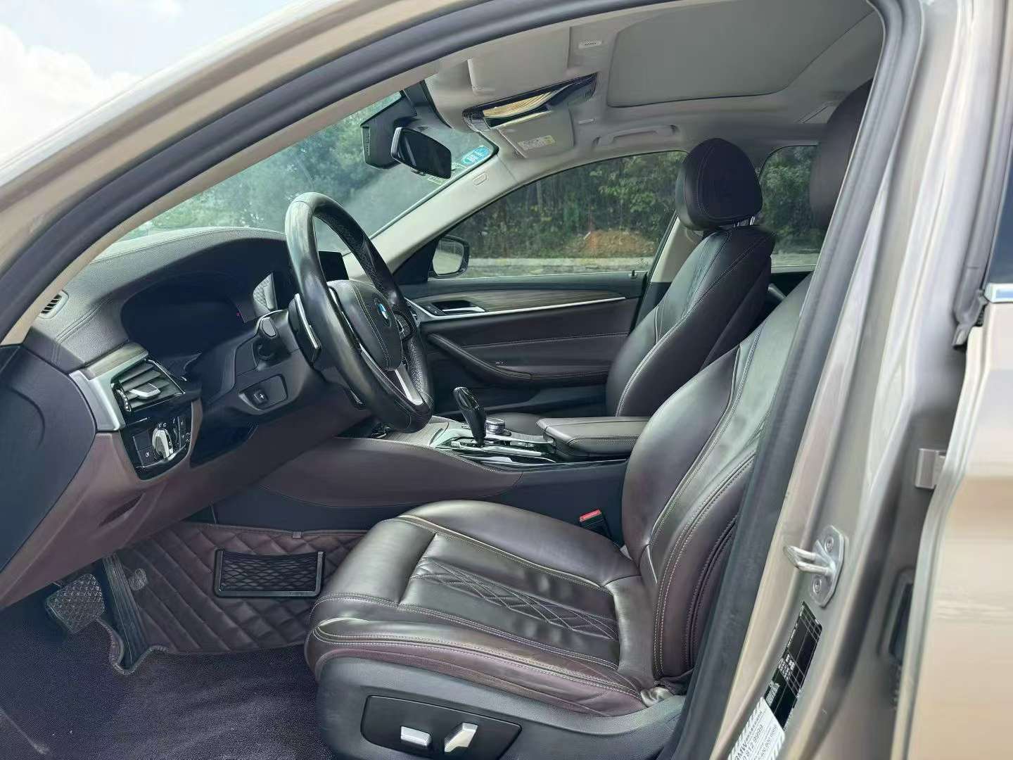 BMW 5 Series 530Li Luxury Edition 4