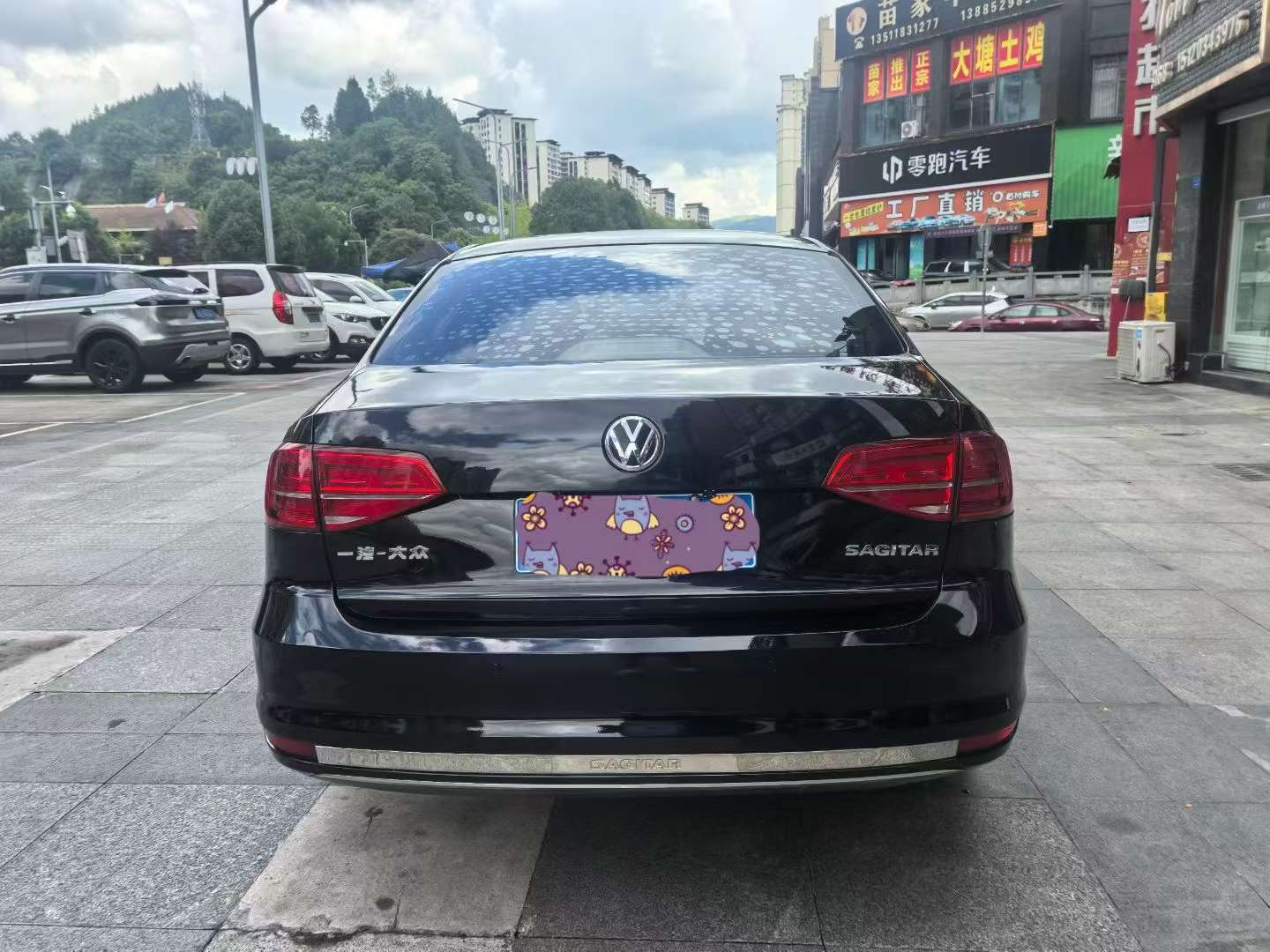 Volkswagen Sagitar 1.6L Manual Sunroof 8