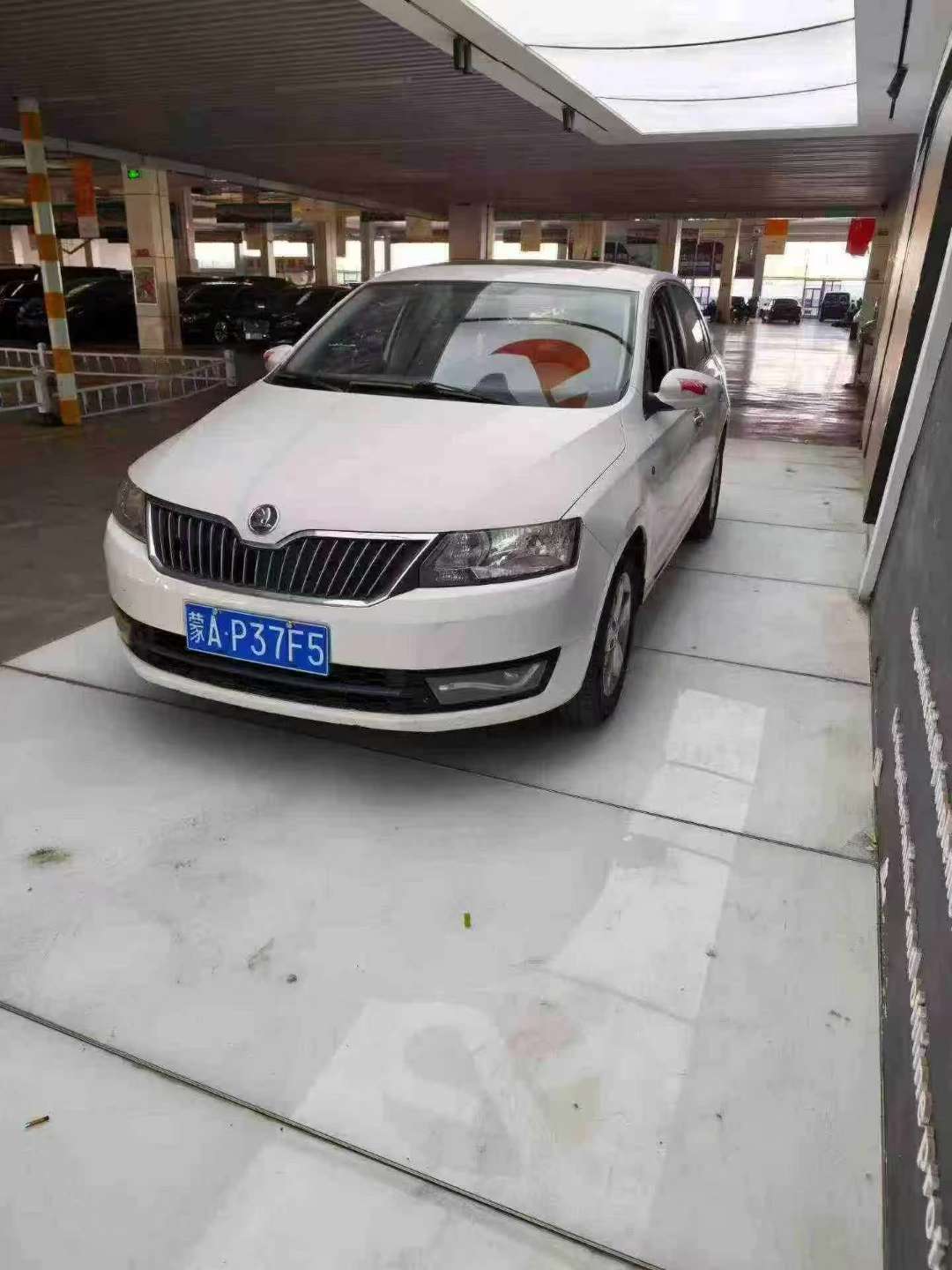 Skoda New Ray