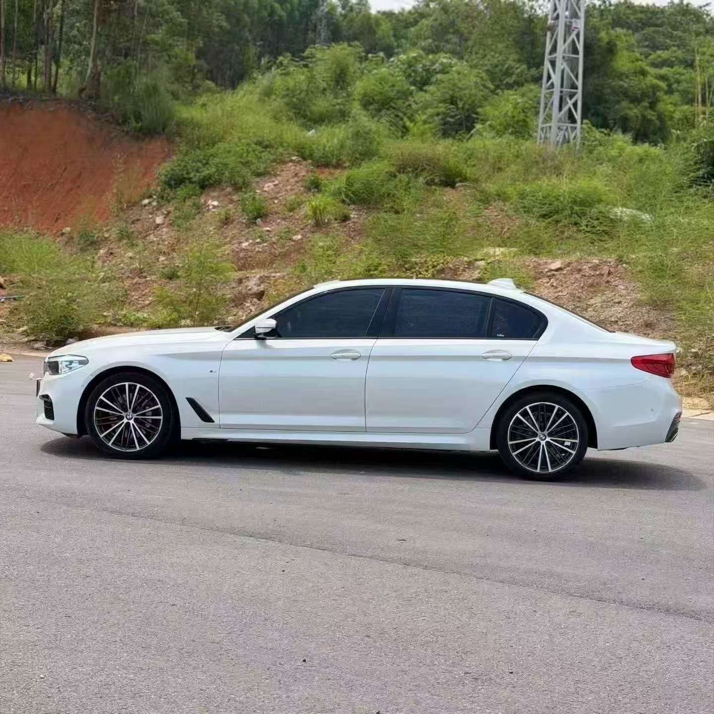 BMW 5 Series 2019 530Li M Sport 3
