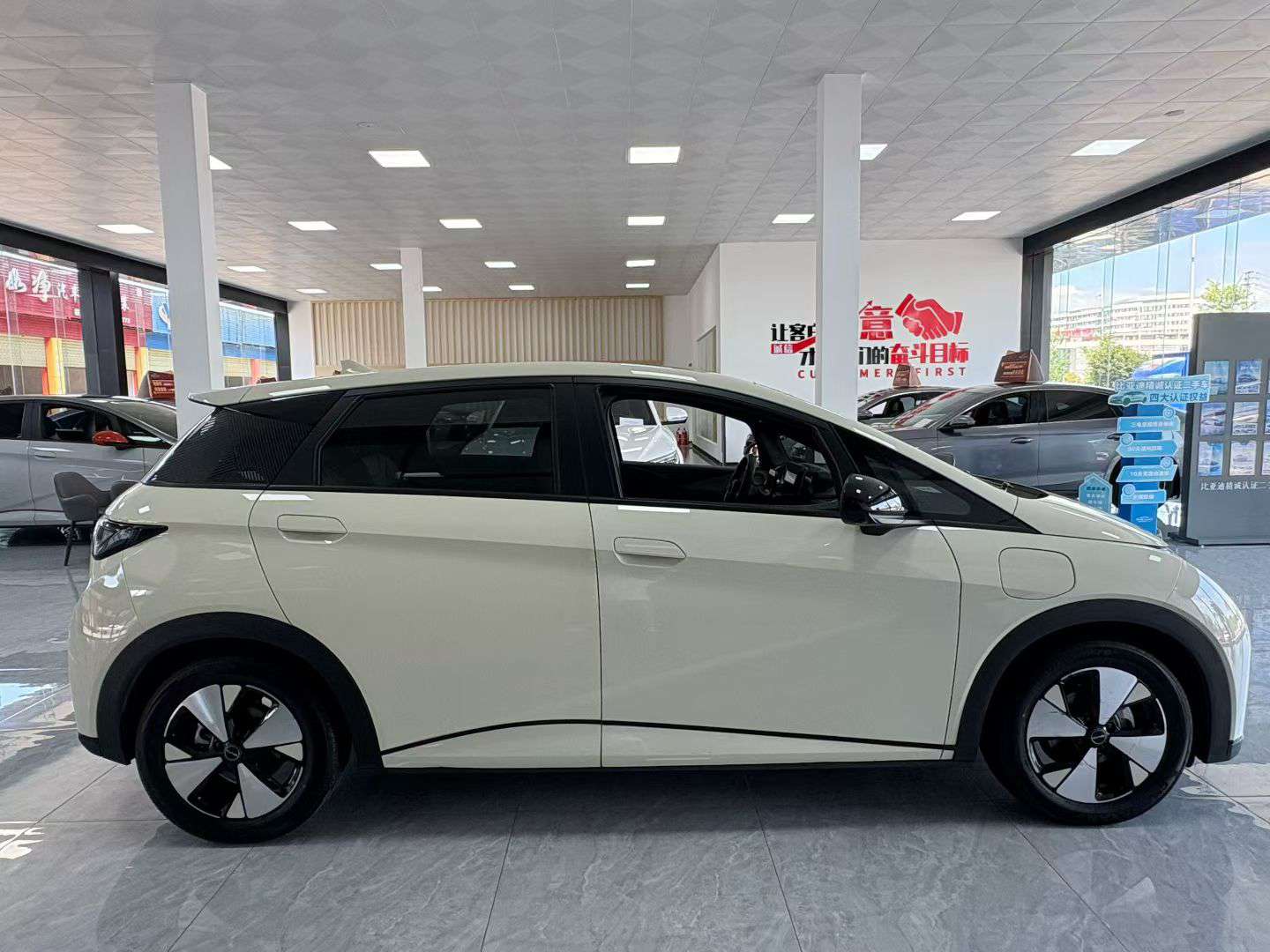 BYD Dolphin 2023 420KM Fashion Edition 6