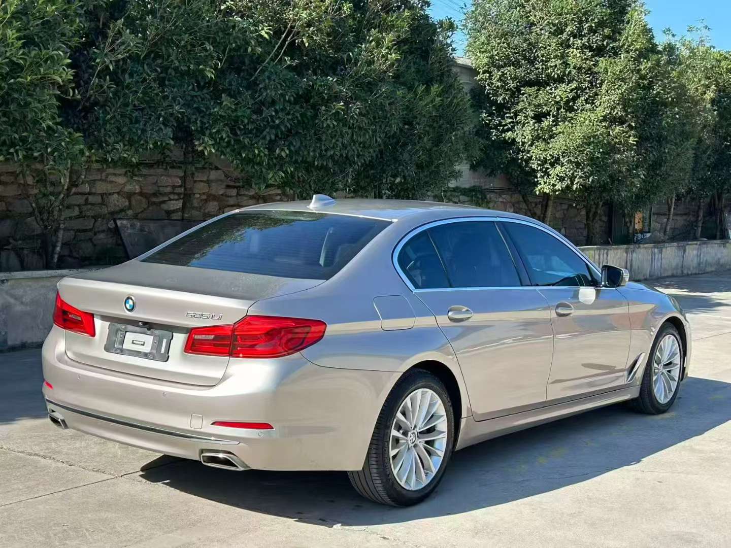 BMW 5 Series 525Li Luxury Edition 7