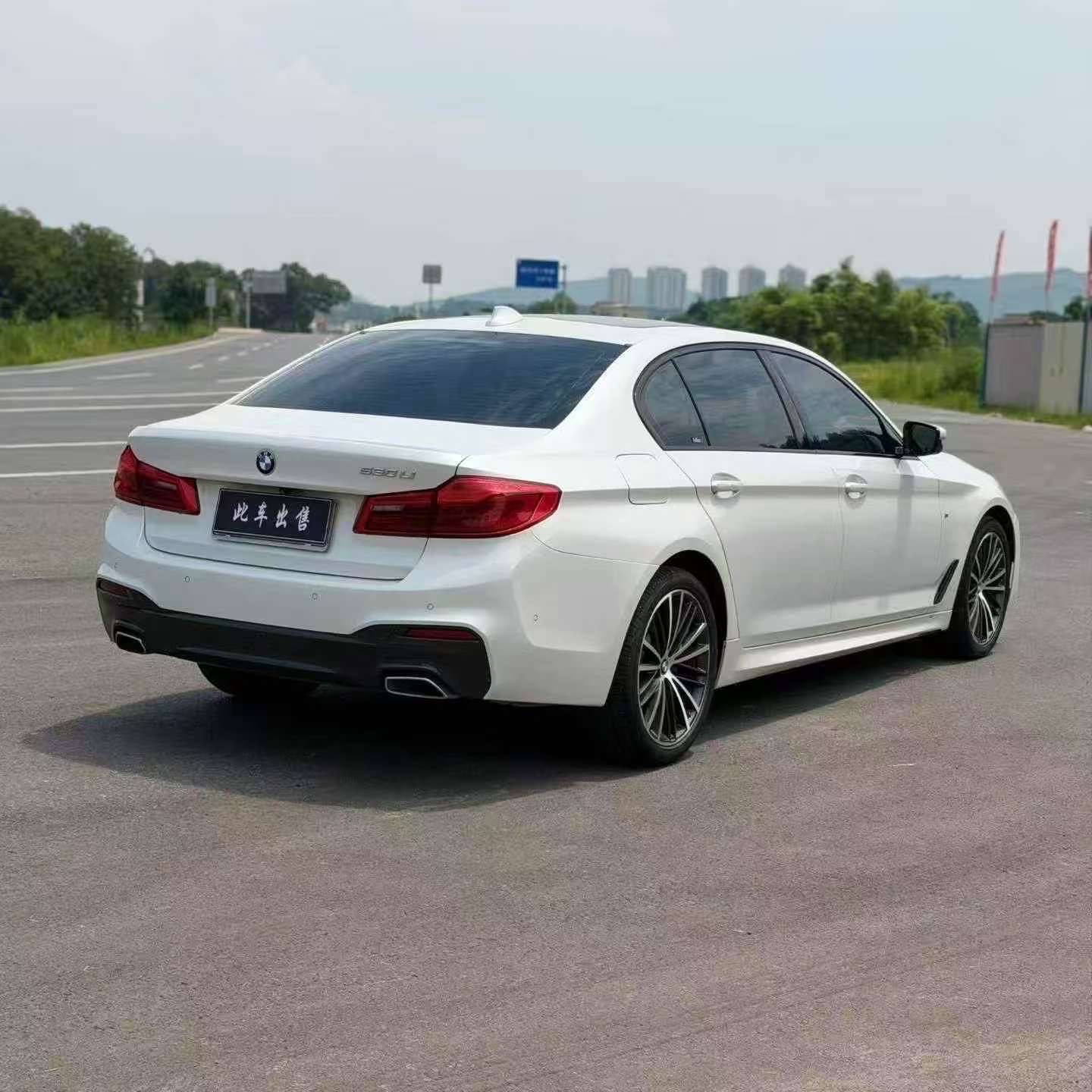 BMW 5 Series 2019 530Li M Sport 5