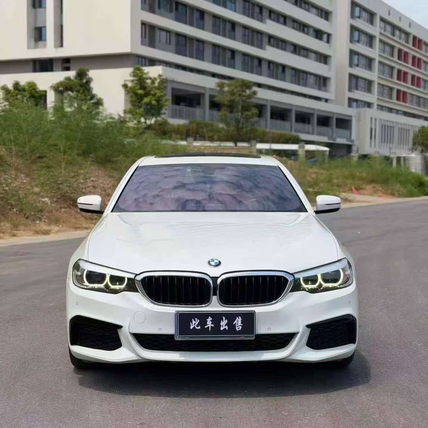 BMW 5 Series 2019 530Li M Sport