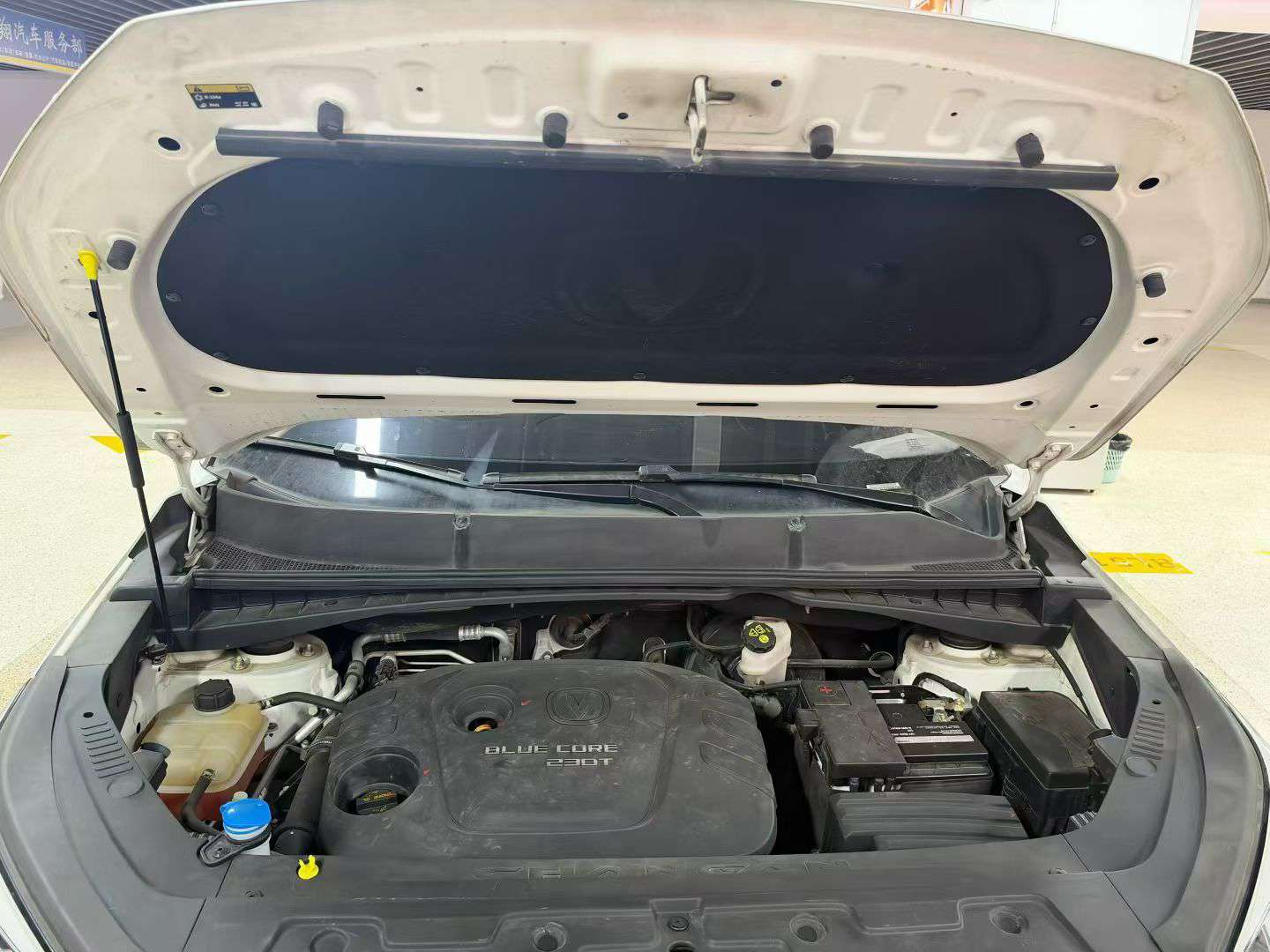 Changan CS55 1.5T 6-Speed Manual Dynamic High Spec 4