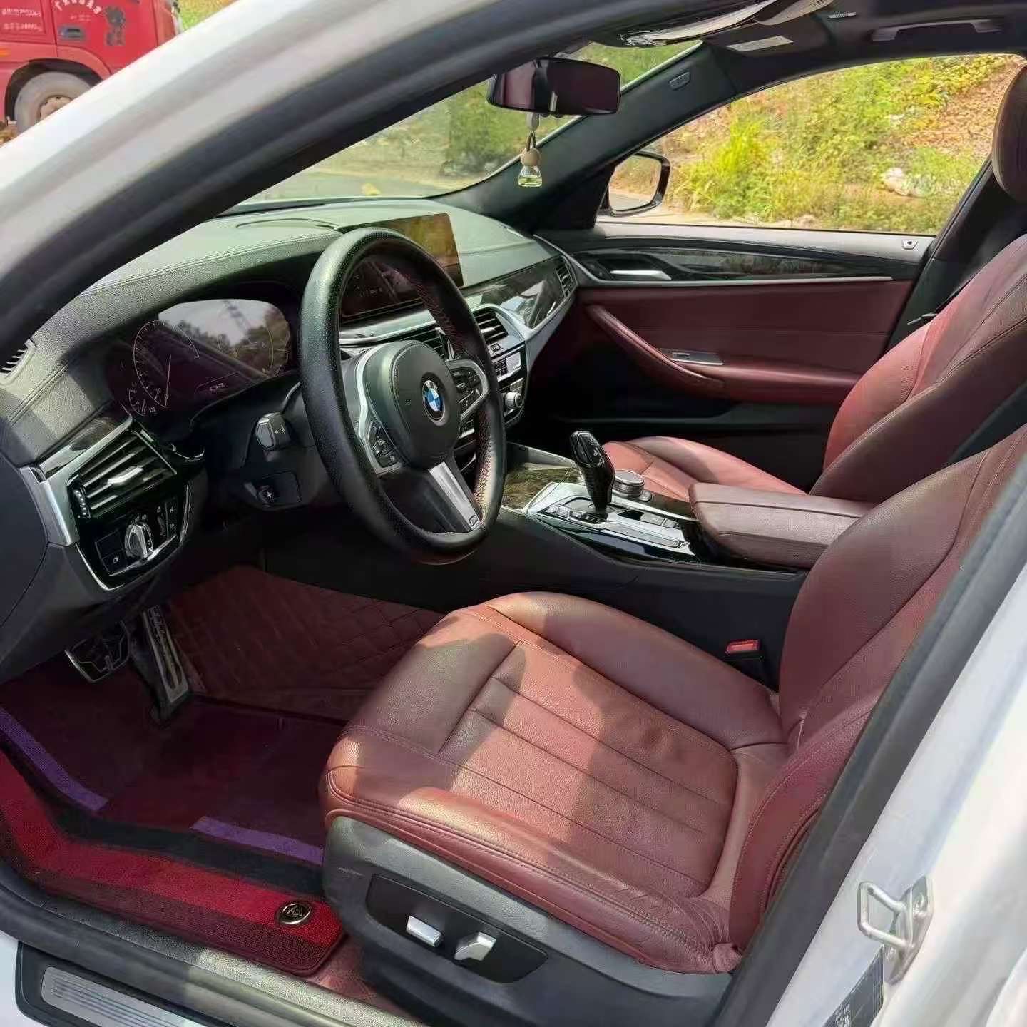 BMW 5 Series 2019 530Li M Sport 6
